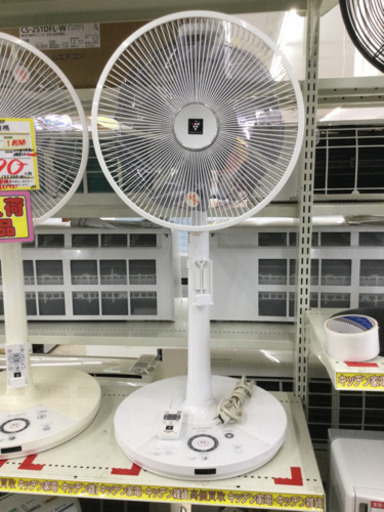 7/5 【✨プラズマクラスター搭載✨】 定価12,800円 SHARP 扇風機 PJ-F 3DS 風量微調整あり✨