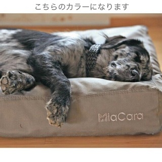 PEPPY ペピイ MiaCara（ミアカラ）ペット用ベッド