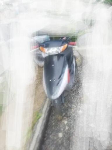 ホンダライブDio