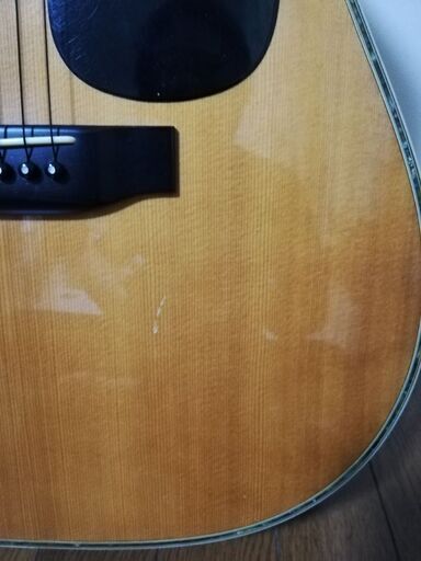 モーリス・ギター TF Morris W-50 | noonanwaste.com