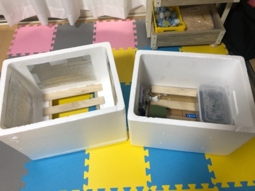 国産オオクワガタペア＋自作簡易温室を販売します。