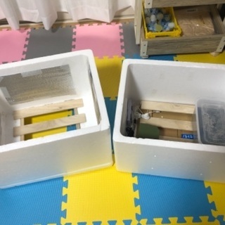国産オオクワガタペア＋自作簡易温室を販売します。