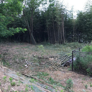 キャンプ場の作成にあたり 竹垣や竹の柵作れる方募集します キャンパー 西宮の手伝って 助けての助け合い ジモティー