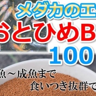 中古おとひめが無料 格安で買える ジモティー 中古おとひめが無料 格安で買える ジモティー