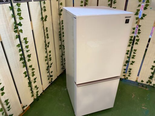 【愛品館八千代店】保証ありSHARP2019年製137ℓ冷凍冷蔵庫SJ-GD14E【愛八RZ】