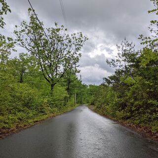 【あげます】中津川の山林！プライベートキャンプ場などにどう...