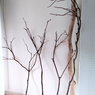 【ネット決済】大きな木の枝　オブジェ　インテリア4本