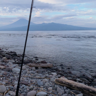 🐟海でのルアー釣り仲間募集！