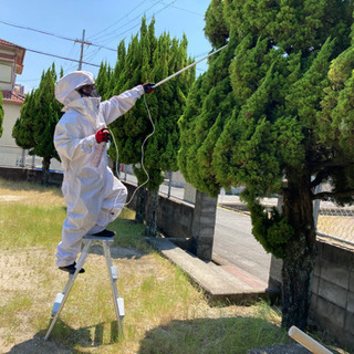 蜂の駆除は救急マイスター！蜂駆除！奈良県 - 奈良市