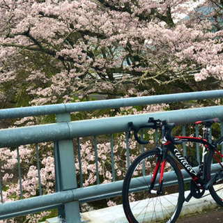 ロードバイク初心者歓迎　兵庫県南西部サイクリング仲間募集中！