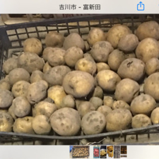 【7/18】1組様限定ジャガイモ4キロと季節の野菜セット