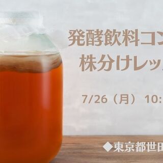 7/26 発酵飲料コンブチャ株分けレッスン