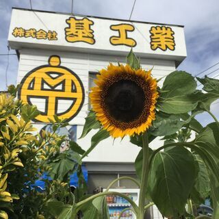 一緒に働きましょう！スタート月給280,000円～☆日払い・週払いできます！！の画像