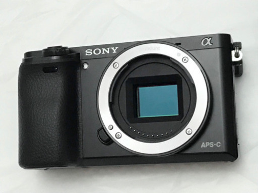 SONY α6000