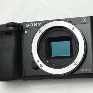 SONY α6000