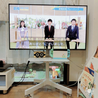 2020年製ハイセンス テレビ 4k+ テレビ台 セット