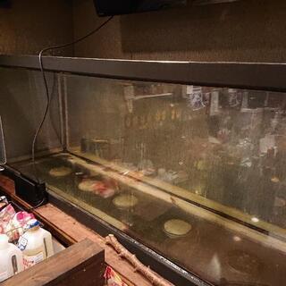 水槽 180センチ 引き取り限定早い者勝ち