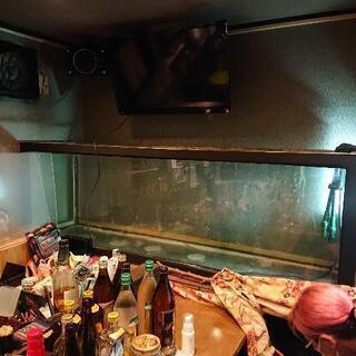 水槽 180センチ 引き取り限定早い者勝ち