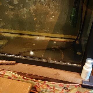 水槽 180センチ 引き取り限定早い者勝ち