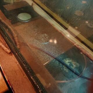 水槽 180センチ 引き取り限定早い者勝ち