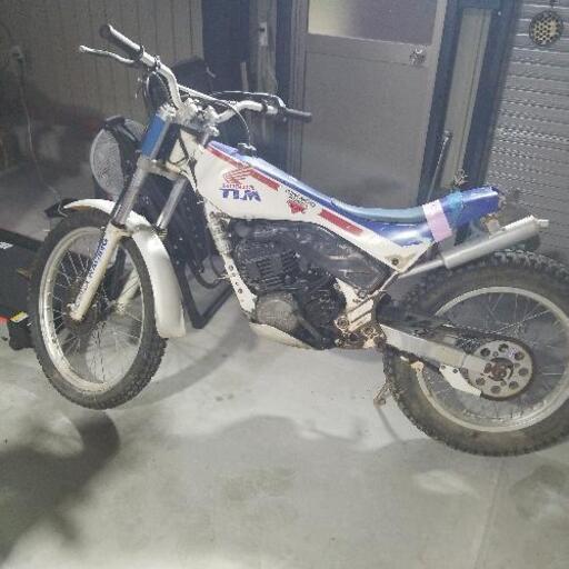 ホンダ　TLM 260