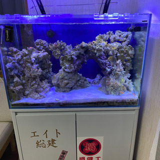 海水フルセット