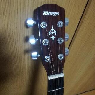 Morris F-351CS ソリッドトップ