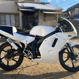 今　ns-1 後期　最終型？　検索(ns1 nsr 50cc 原付スクーター　TZR 50) 今 ns-1 後期 最終型？ 検索(ns1 nsr 50cc 原付スクーター TZR 50)