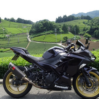 ⭐︎カワサキ ニンジャ250 2018年製⭐︎ 自賠責あり！美車！低走行！