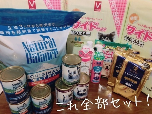 セット商品/おまけ付き/犬/犬用/愛犬用/ペット用/全犬種/全年齢/パピー/子犬/成犬/シニア犬/老犬/ハイシニア犬/介護犬/小型犬/中型犬/大型犬/ドッグフード/ウェットフード/缶詰/ナチュラルバランス/トイレシート/水のいらないシャンプー/シャンプータオル/シャンプー