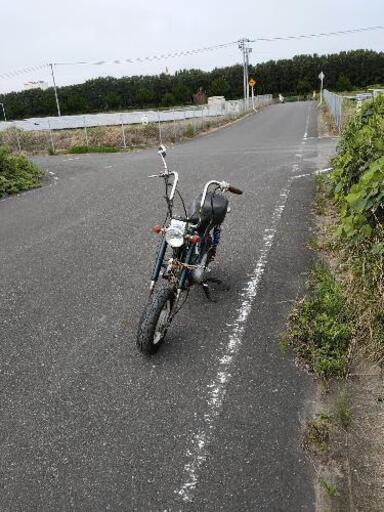 ホンダ シャリー 書付き