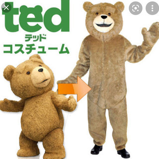 【ネット決済】Ted  着ぐるみ