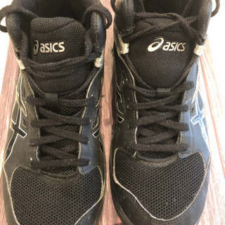 asics バスケシューズ24cm