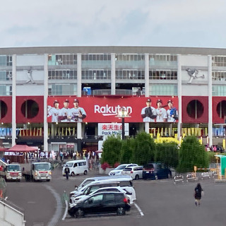 プロ野球好き