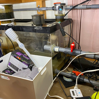 水槽一式、生体一式