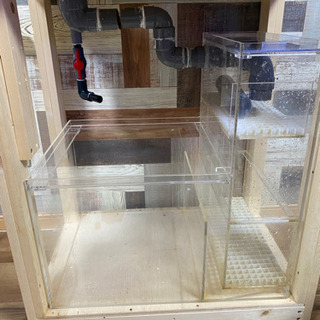 受け渡し予定者有り　ガラス水槽　600×450×500 マーフィード 受け渡し予定者有り ガラス水槽 600×450×500 マーフィード