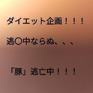 逃走中 メンバー募集 ジモティー 逃走中 メンバー募集 ジモティー