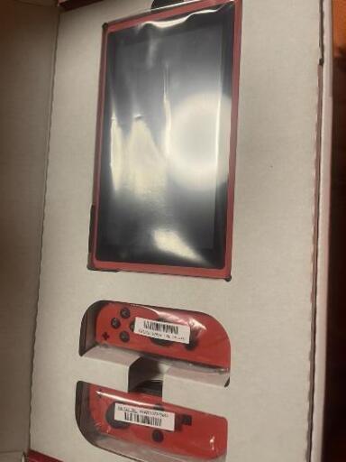 Nintendo Switchマリオレッド＆ブルー