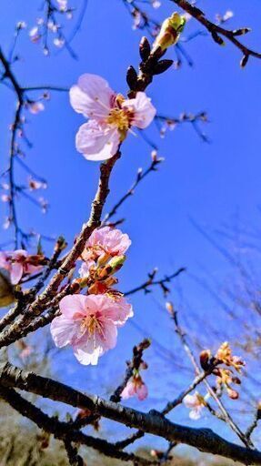 既婚だけど友達が欲しいです T T れっきー 厚木の友達のメンバー募集 無料掲載の掲示板 ジモティー