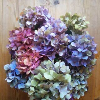 切り花の中古が安い 激安で譲ります 無料であげます 7ページ目 ジモティー