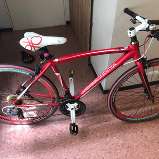 完成版】デイビッド ミラー 絵画 イルカ 海 パズル 1000ピース