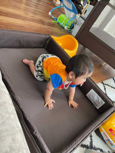 ココネルエアープラス チョコレートブラウン アップリカ ココネル