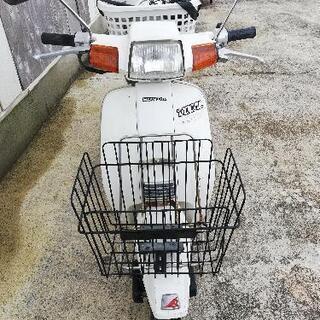 ホンダ VOCAL 50cc | apeepr.com.br