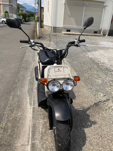 ホンダ ズーマー50cc 白