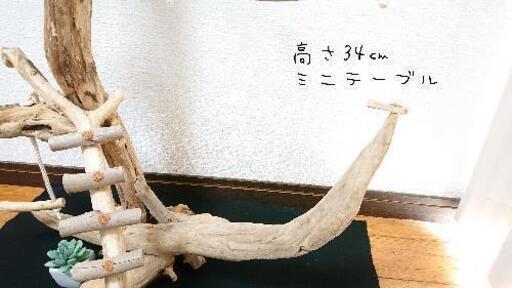 流木止まり木・バードタワーNo.⑱高さ100㎝