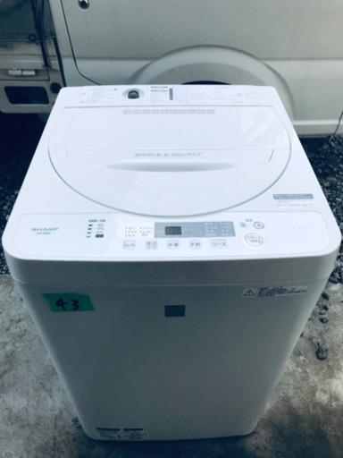 ✨2018年製✨43番 SHARP✨全自動電気洗濯機✨ES-G4E5‼️