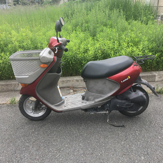 お取引決まりました》カブ 赤カブ （赤かぶとラディッシュは似
