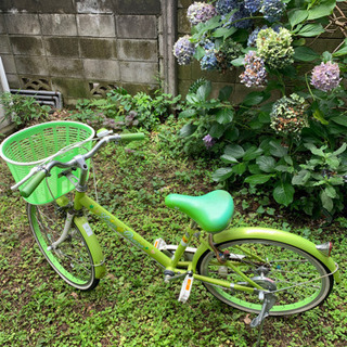 【ネット決済・配送可】子供用20インチ自転車