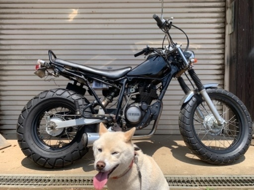 購入者決定　tw200 2JL エンジン始動　書付　日立南太田ic