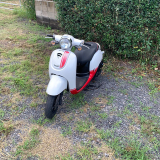 高年式　AF70ジョルノ  原付　バイク　50cc   車体